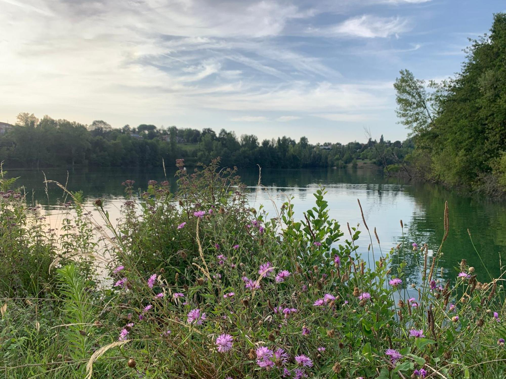 Terres De France - Les Hameaux Des Lacs Monclar-de-Quercy Esterno foto
